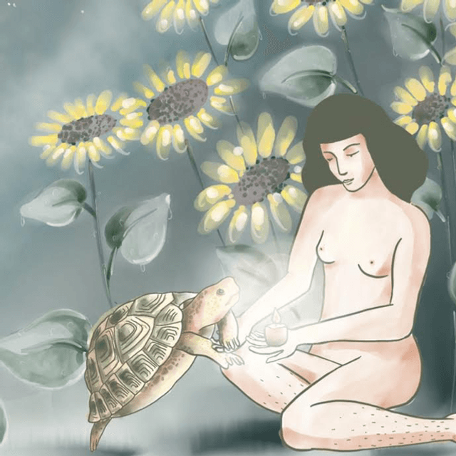 LA TORTUE ET LES TOURNESOLS