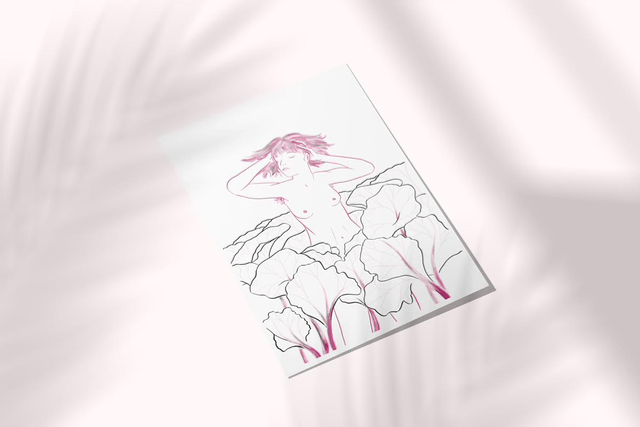 RHUBARBE BLANCHE 