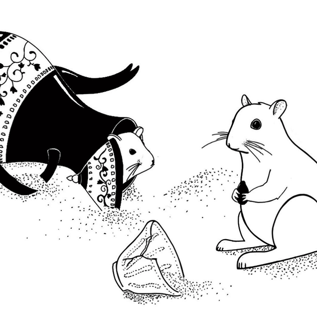 RODENT 