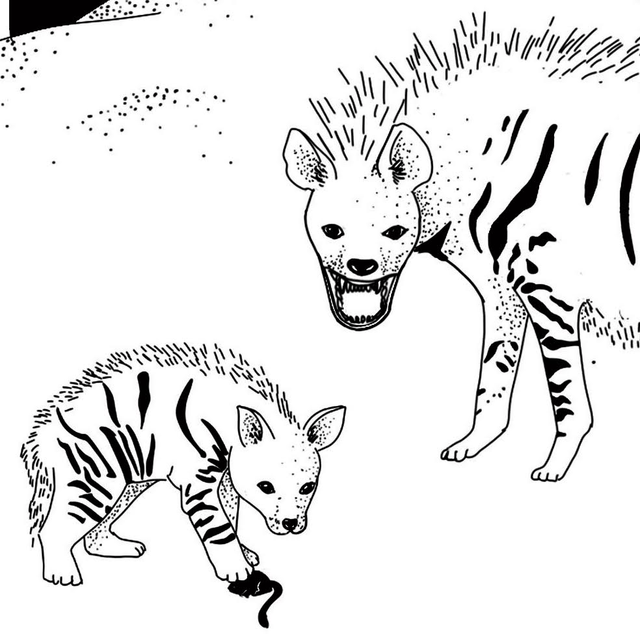 TEETH
