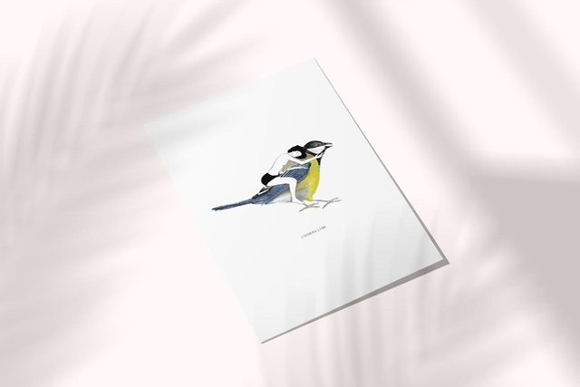 LA MÉSANGE