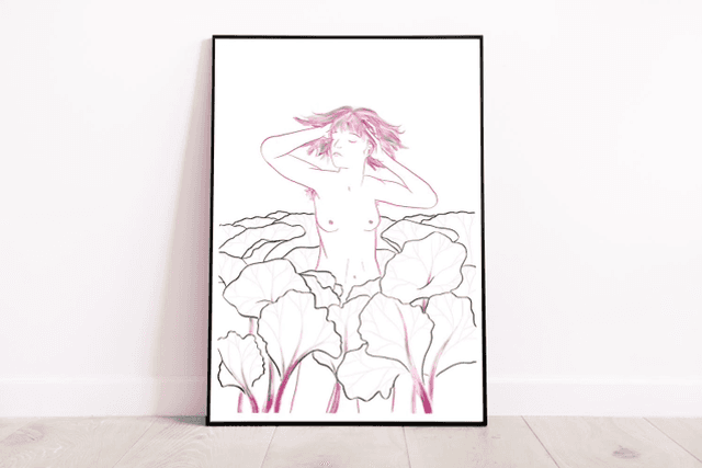 RHUBARBE BLANCHE 